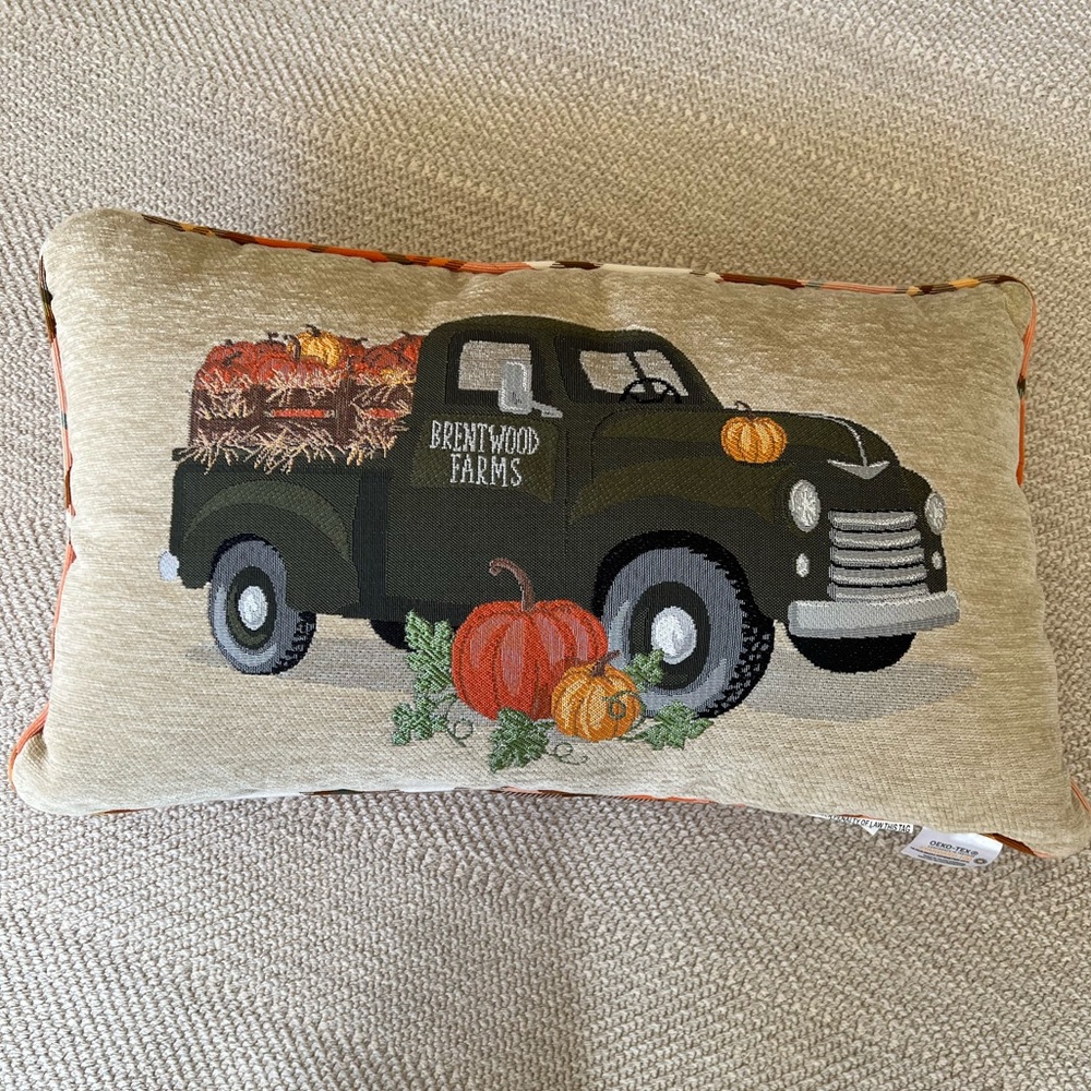 Embroidered Fall Pillow
